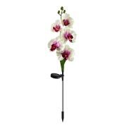 Φωτιζόμενα διακοσμητικά λουλούδια LED με ηλιακό πάνελ – 2pcs – 150388 – Purple