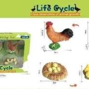Εκπαιδευτικό σετ Κοτοπουλάκια – Life Cycle – 161113
