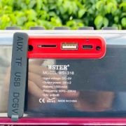 Ασύρματο ηχείο Bluetooth – WS-318 – 810675