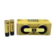Ασύρματο ηχείο Bluetooth με 2 μικρόφωνα Karaoke – YS-205 – 887226 – Gold