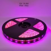 Ταινία LED – LED Strip – IP65 – 5m – Pink – 891207