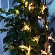 Ηλιακή γιρλάντα φωτισμού LED – String Bird – 5m+1m – 20D – 152875 – Warm White